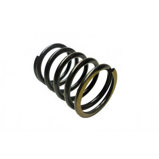 Kränzle 43040 - Plunjerveer