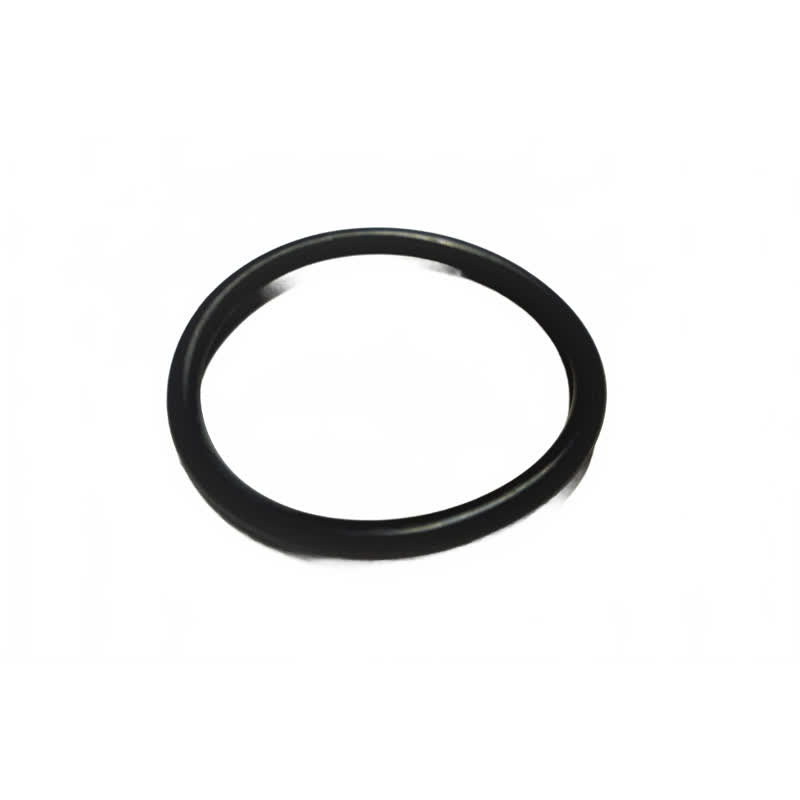 Kränzle Kunststofdichting 3/4" voor waterfilter (o-ring 40 x 3,5) (13303)