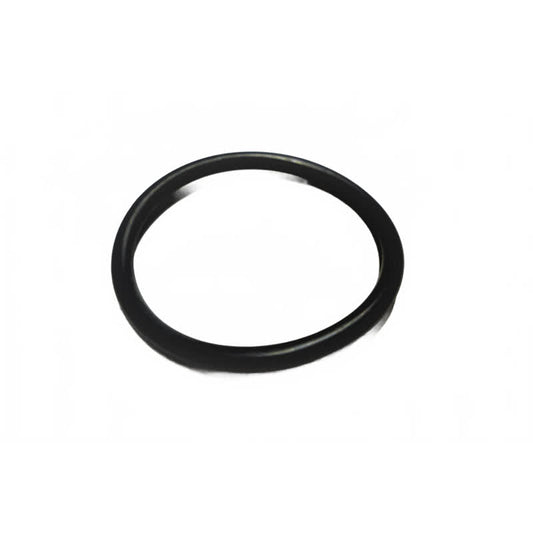 Kränzle Kunststofdichting 3/4" voor waterfilter (o-ring 40 x 3,5) (13303)