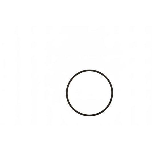 Kränzle 13321.1 - O-ring voor waterfilter (groot) met schroefkoppeling 3/4" pro