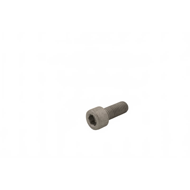 Kränzle Schroef M10 x 25 (14006)