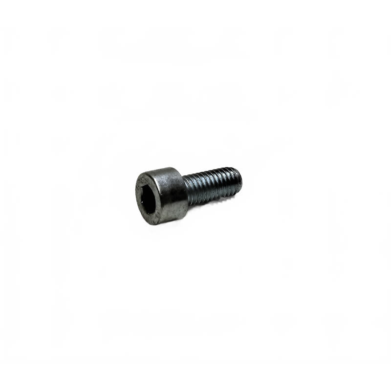Kränzle Schroef M5 x 12 (41019.4)