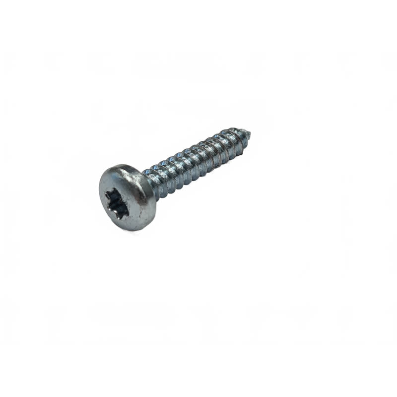 Kränzle Schroef 4,8 x 25 MM (voor lanshouder (nieuw) quadro) (42647)